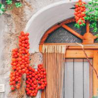 sakiz-adasi-mesta-koyu